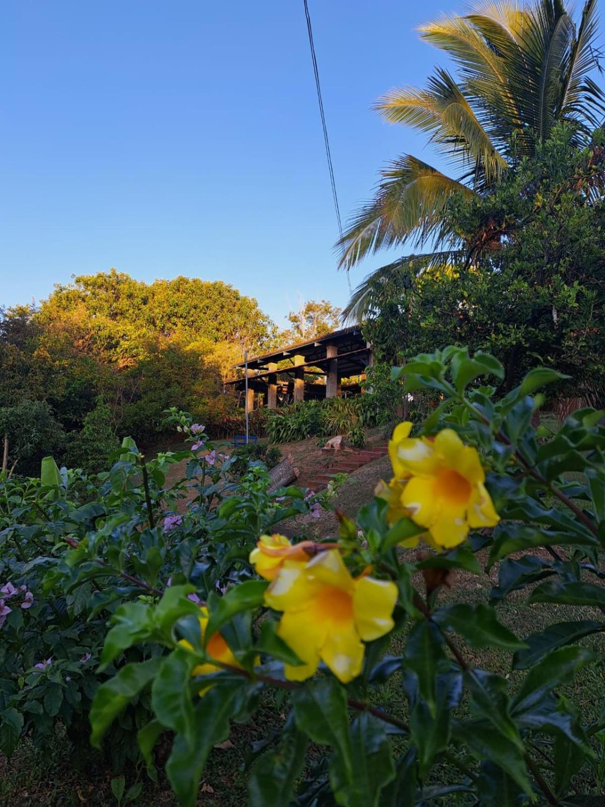 Serenity By Nature Carrillos ภายนอก รูปภาพ